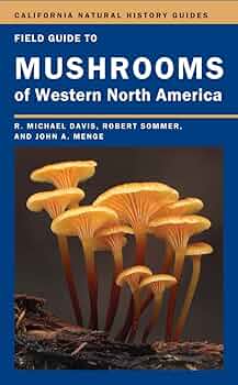 洋書 Mushrooms The Mushroom Compendium: Explore the Kingdom of Fungi: Royal
